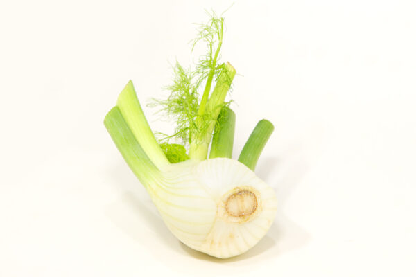 Venkel (per stuk)